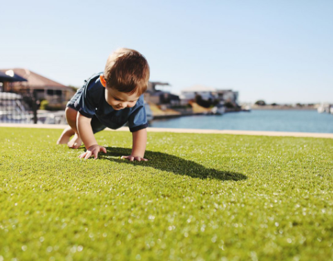 Backyard Playground Turf (40)