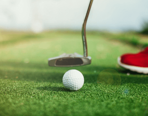Mini Golf Artificial Grass Nyc (11)