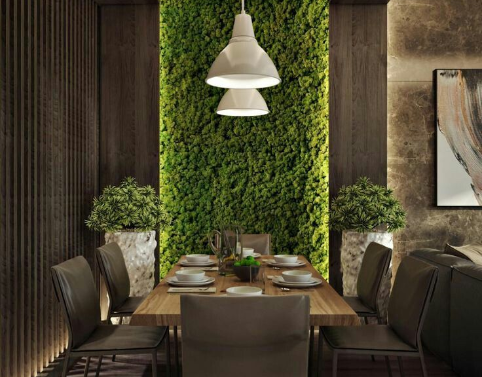 Wall Grass