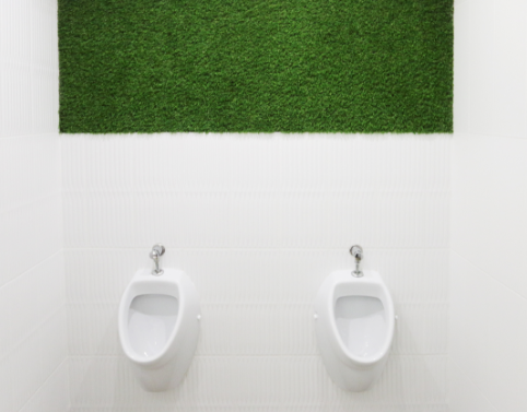 Wallgrass (5)