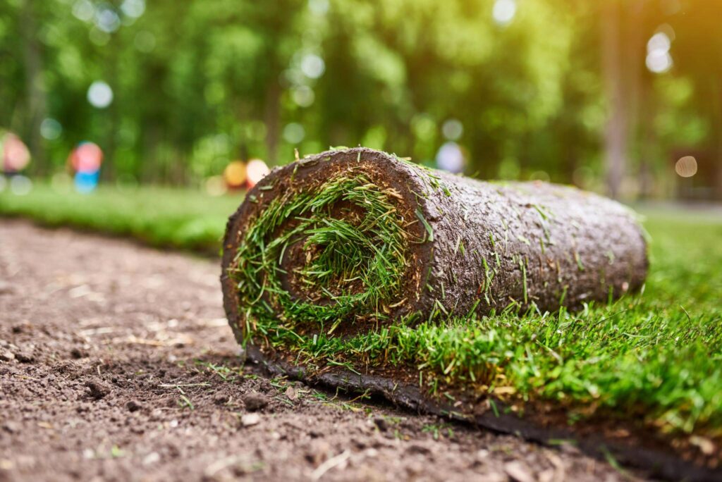 backyard playground turf