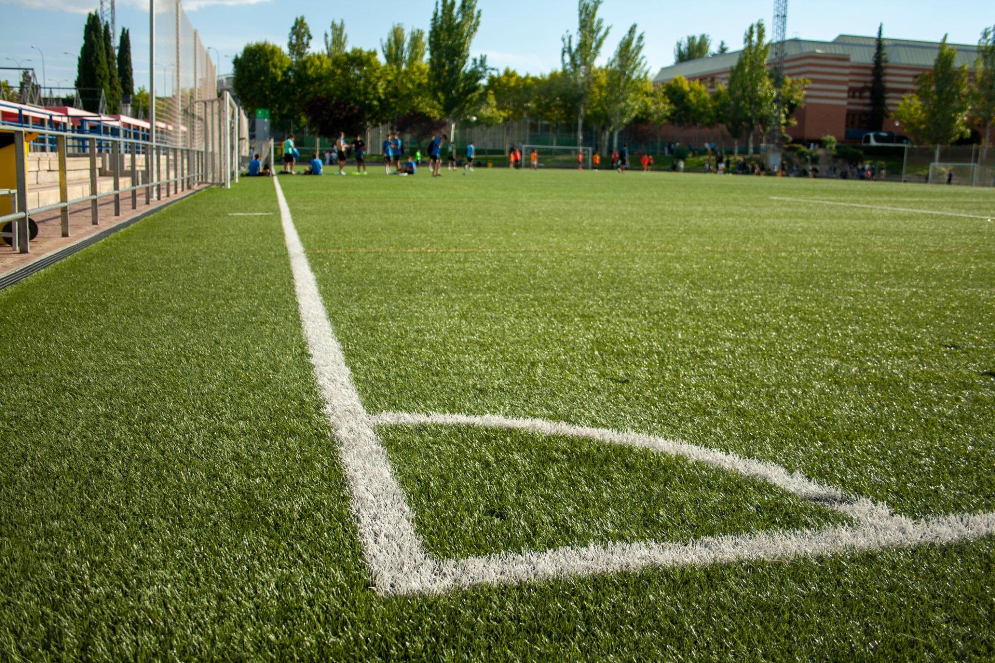 Artificial Turf