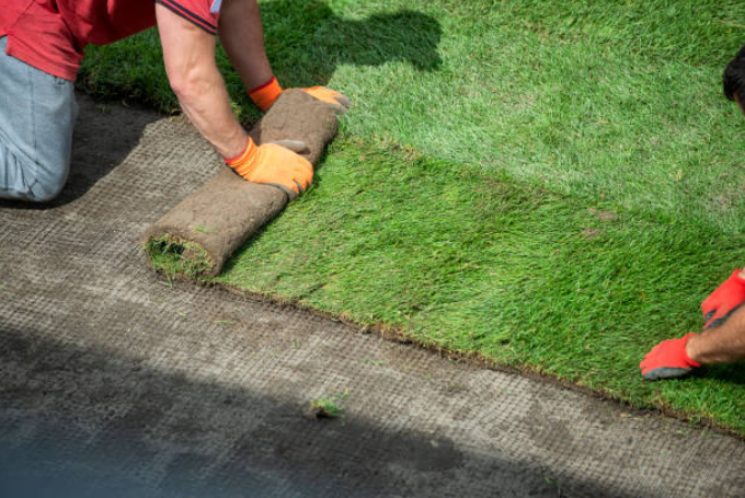 artificial grass